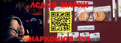 индика Пугачёв
