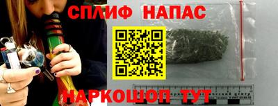индика Пугачёв