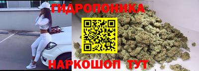 индика Пугачёв