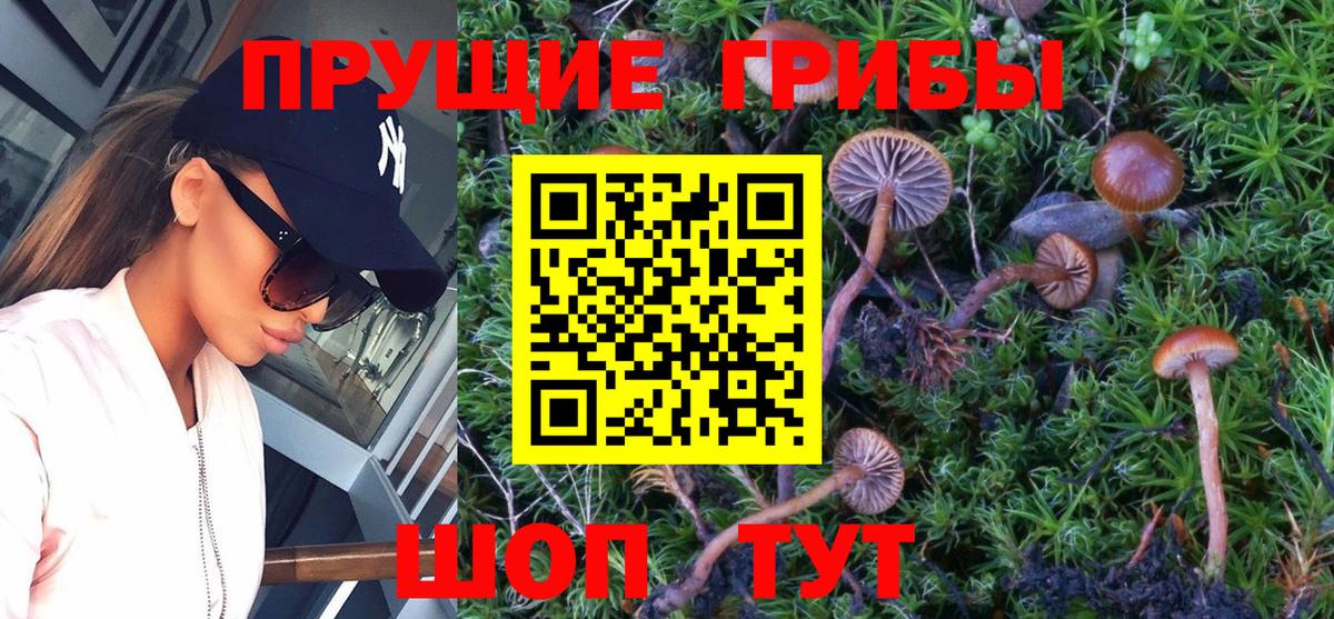 Галлюциногенные грибы мицелий  Вход с VPN  Пыть-Ях 