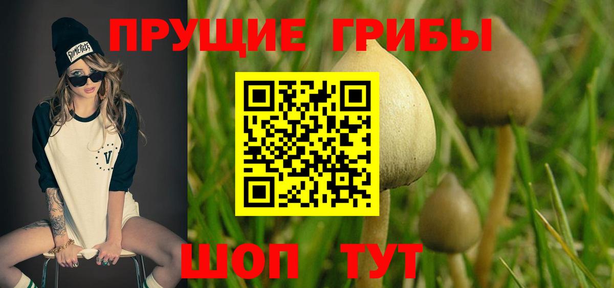 Псилоцибиновые грибы мицелий Пыть-Ях